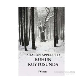 Ruhun Kuytusunda - Aharon Appelfeld