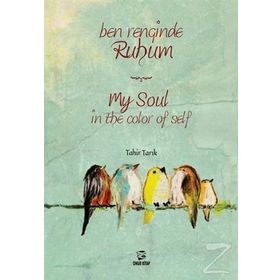 Ruhun Rengi Olmaz - Gökhan Emre Akıl
