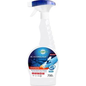 Rulopak 750 ml Alkol Bazlı Yüzey Temizleyici