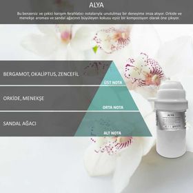 Rulopak Nanoplus M7 Alya 200 ml Koku Kartuşu