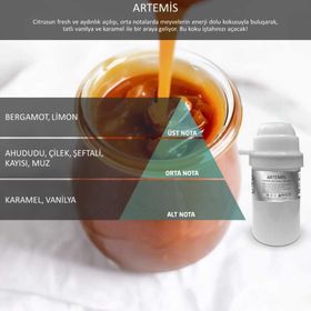 Rulopak Nanoplus M7 Artemis 200 ml Koku Kartuşu