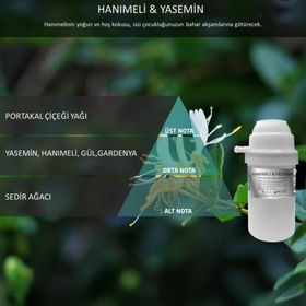 Rulopak Nanoplus M7 Hanımeli Yasemin 100 ml Koku Kartuşu