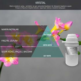 Rulopak Nanoplus M7 Kristal 100 ml Koku Kartuşu