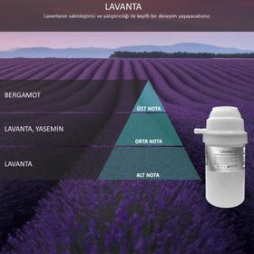 Rulopak Nanoplus M7 Lavanta 100 ml Koku Kartuşu