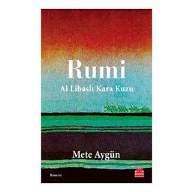 Rumi - Mete Aygün