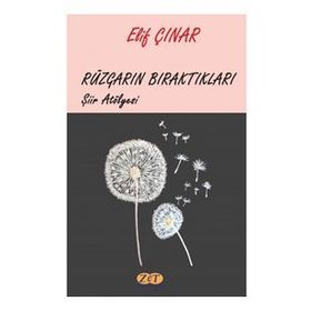 Rüzgarın Bıraktıkları - Elif Çınar