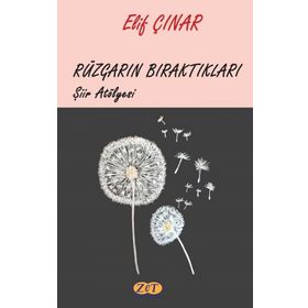 Rüzgarın Bıraktıkları - Elif Çınar
