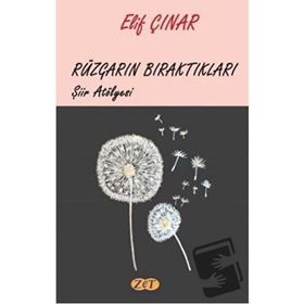 Rüzgarın Bıraktıkları - Elif Çınar