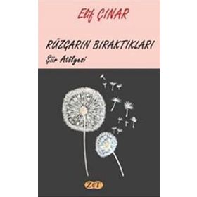 Rüzgarın Bıraktıkları - Elif Çınar