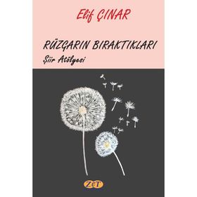 Rüzgarın Bıraktıkları - Elif Çınar