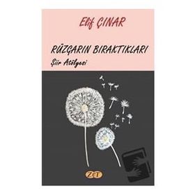 Rüzgarın Bıraktıkları - Elif Çınar