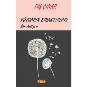 Rüzgarın Bıraktıkları - Elif Çınar