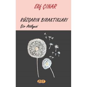 Rüzgarın Bıraktıkları - Elif Çınar