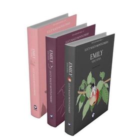 Rüzgarın Kızı Emily 3 Cem Yayınevi