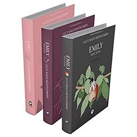 Rüzgarın Kızı Emily 3 - Lucy Maud Montgomery - Ren