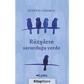 Rüzgarın Savurduğu Yerde - Hüseyin Gökmen