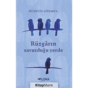 Rüzgarın Savurduğu Yerde - Hüseyin Gökmen
