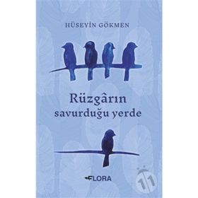 Rüzgarın Savurduğu Yerde - Hüseyin Gökmen