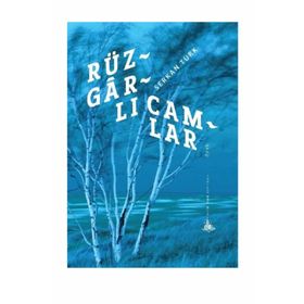 Rüzgarlı Camlar - Serkan Türk