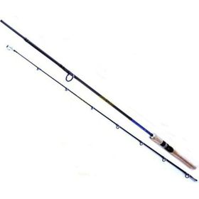 Ryobi Aosagi 2 Parçalı 210 cm 10-40 gr Atarlı Spin Kamış