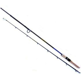 Ryobi Aosagi 2 Parçalı 210 cm 10-40 gr Atarlı Spin Kamış