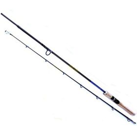 Ryobi Aosagi 2 Parçalı 210 cm 10-40 gr Atarlı Spin Kamış