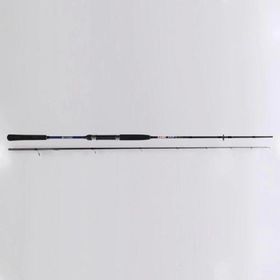 Ryobi Same 10-30 gr 240 cm Aksiyonlu Spin Kamış