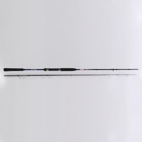 Ryobi Same 10-30 gr 270 cm Aksiyonlu Spin Kamış