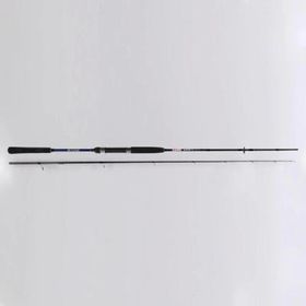 Ryobi Same 10-40 gr 210 cm Aksiyonlu Spin Kamış