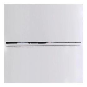 Ryobi Same 10-40 gr 240 cm Aksiyonlu Spin Kamış