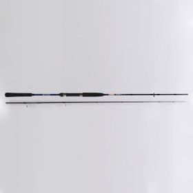 Ryobi Same 10-40 gr 270 cm Aksiyonlu Spin Kamış