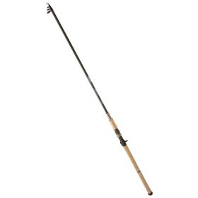 Ryobi Zeta 290 cm 30-110 gr Olta Kamışı