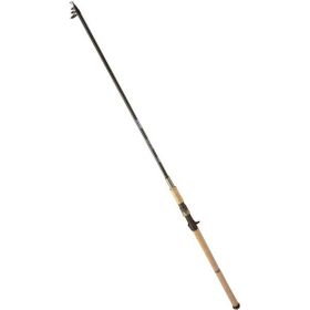 Ryobi Zeta 290 cm 30-110 gr Olta Kamışı