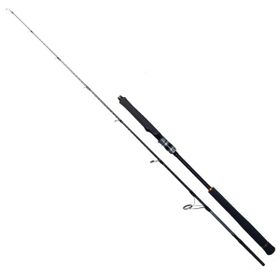 Ryuji 198 cm 150-250 gr Seawolf Jig Kamış