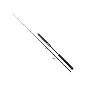 Ryuji 198 cm 150-250 gr Seawolf Jig Kamış