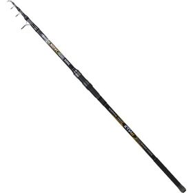 Ryuji Aragon 3.00 m 60-150 gr Tele Kamış