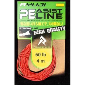Ryuji Assist Pe Line Red 100LB Misina