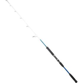 Ryuji Big Game Fuji 1.59 m Max 350 gr 2 Parça Olta Kamışı