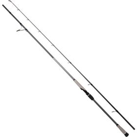 Ryuji Matrix 280 cm 25-80 gr Shore Jig Kamışı