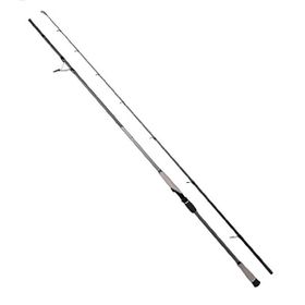 Ryuji Matrix Fuji 2.80 m 25-80 gr 2 Parça Shore Jig Olta Kamışı