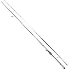 Ryuji Matrix Fuji 24 2.80 m 25-80 gr Shore Jig Olta Kamışı