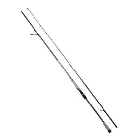 Ryuji Matrix Fuji 280 cm 25-80 gr 2 Parça Shore Jig Kamışı