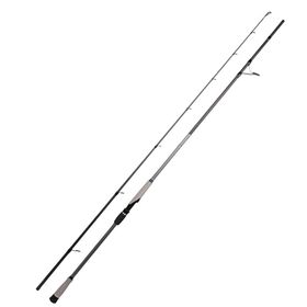 Ryuji Matrix Fuji 3.00 m 30-100 gr 2 Parça Shore Jig Olta Kamışı