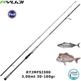 Ryuji Matrix Fuji 3.00 m 30-100 gr 2 Parça Shore Jig Olta Kamışı