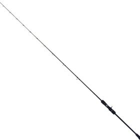 Ryuji Oceanus 190 cm Max 200 gr Jig Kamış