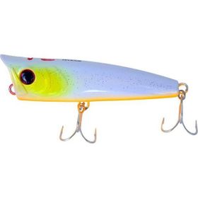 Ryuji Pop Walker Trans Iwashi 10 cm 24 gr Maket Yem