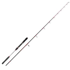 Ryuji Searider 1.80 m 60-180 gr S 2 Parça Jigging Kamış