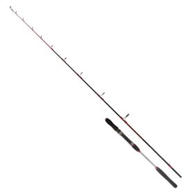 Ryuji Searider 1.80 mt 60-180 gr 2P Olta Kamışı