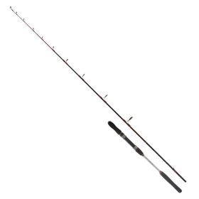 Ryuji Searider 1.80 mt 60-180 gr 2P Olta Kamışı