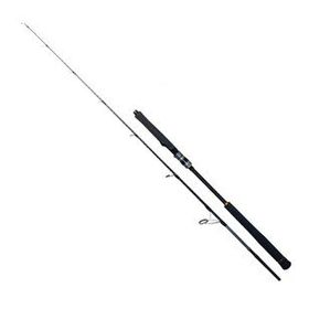 Ryuji Seawolf 1.68 m 150-250 gr 2P Aksiyonlu Olta Kamışı